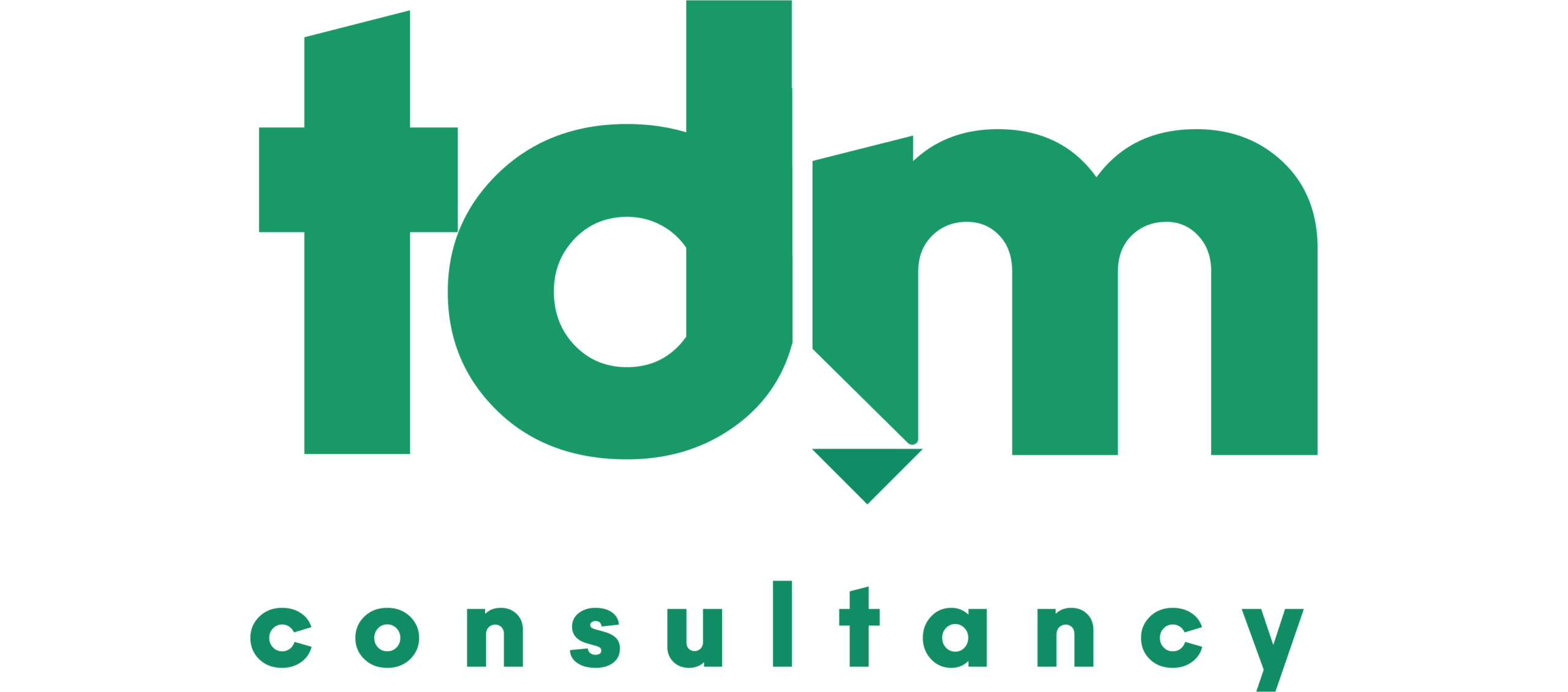 Portaal van TDM Consultancy